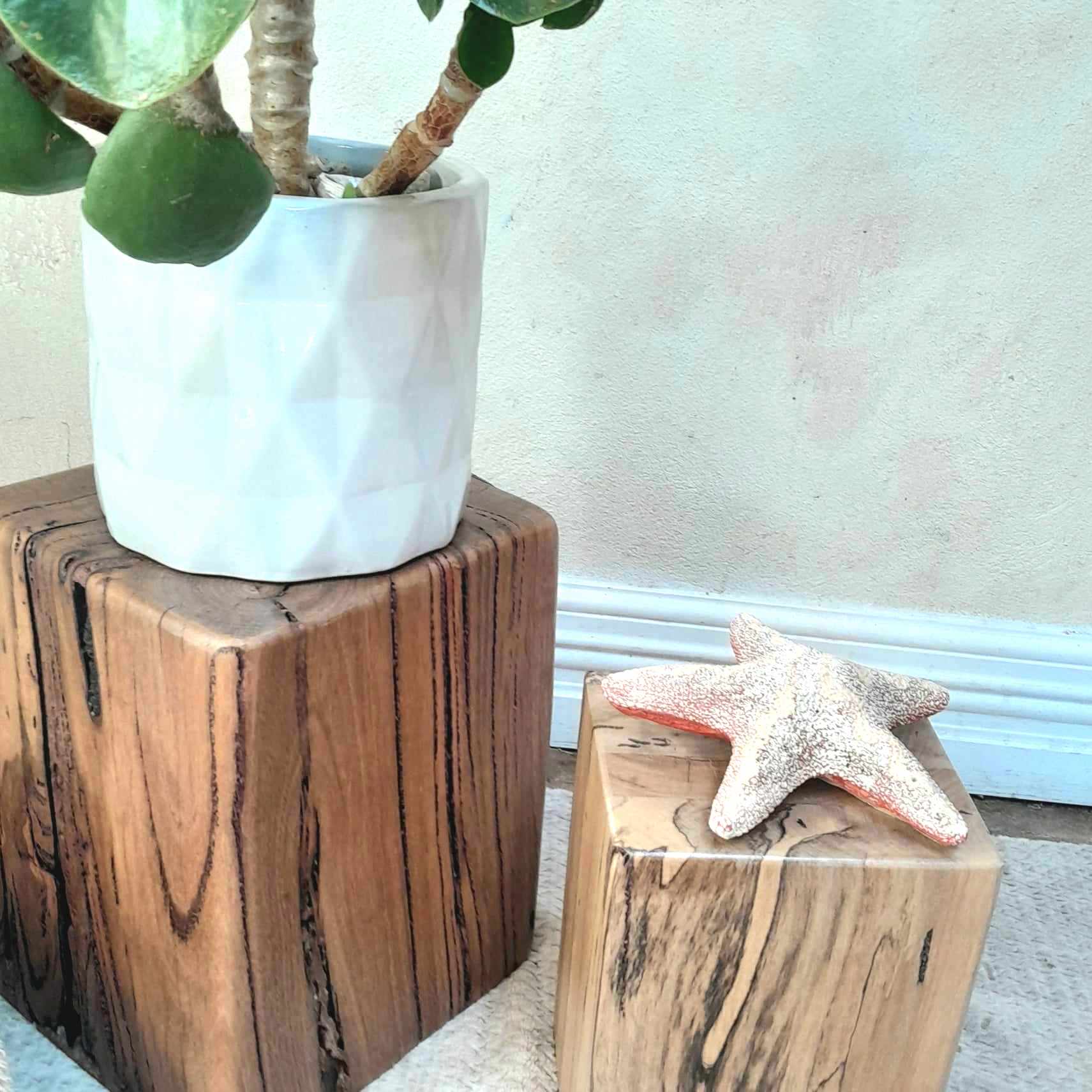 Beachy Plant Stand Wooden Marri Timber Stump block Perth Australia