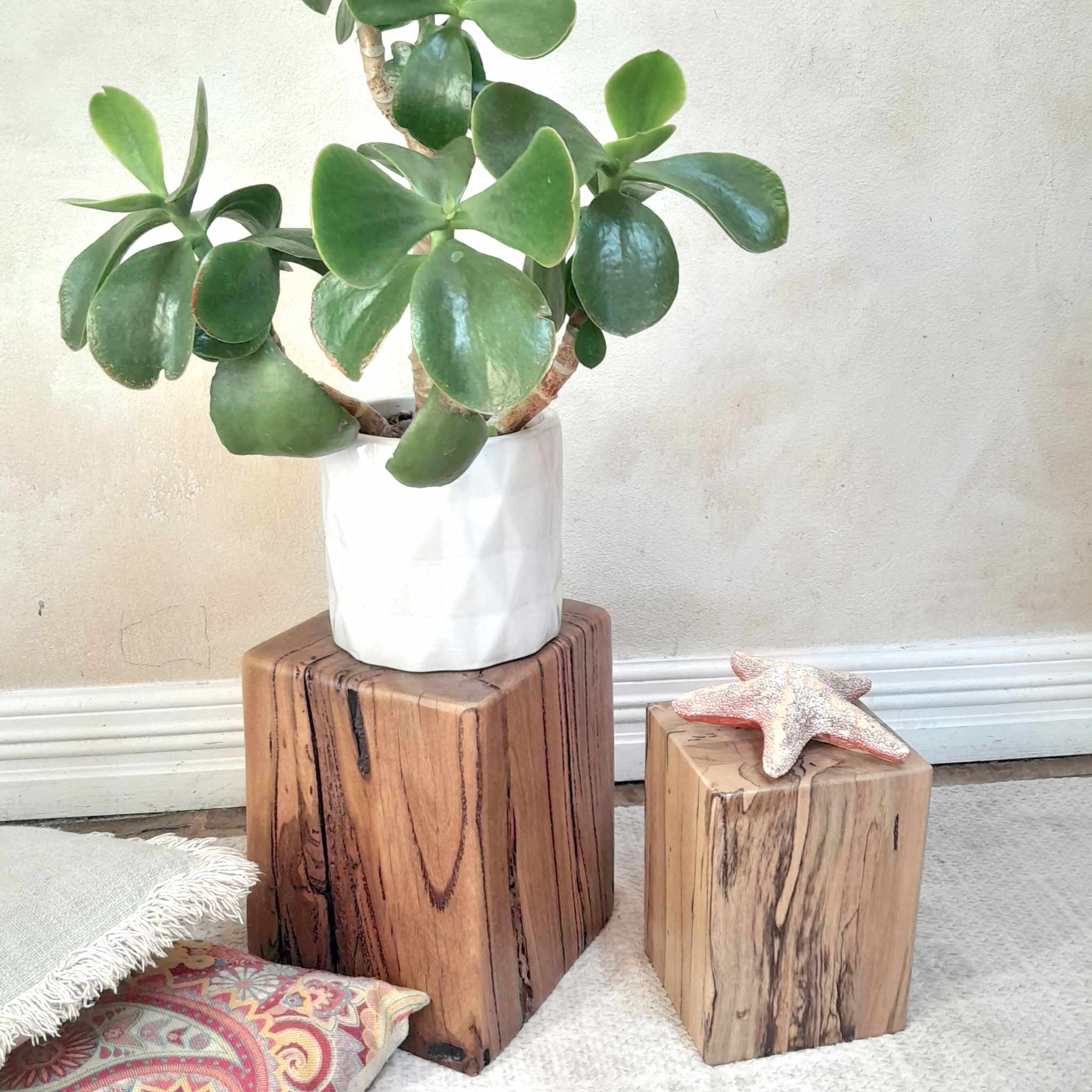 Beachy Plant Stand Wooden Marri Timber Stump block Perth Australia