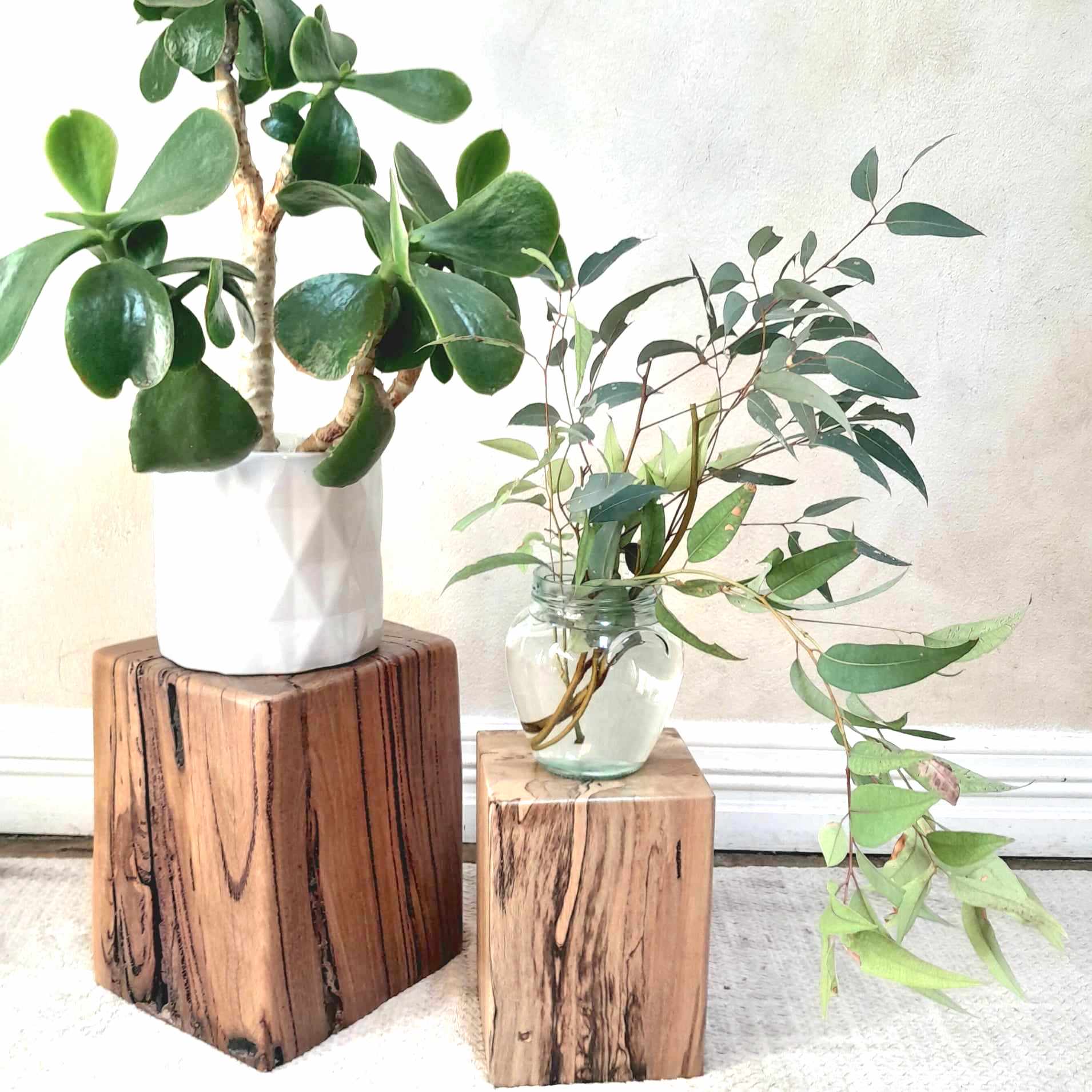 Beachy Plant Stand Wooden Marri Timber Stump block Perth Australia