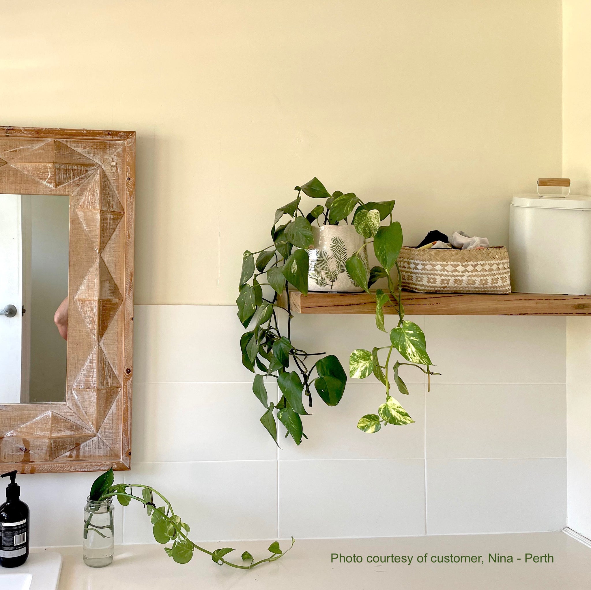 Floating shelf Australia wooden Perth Marri 50-120 cm