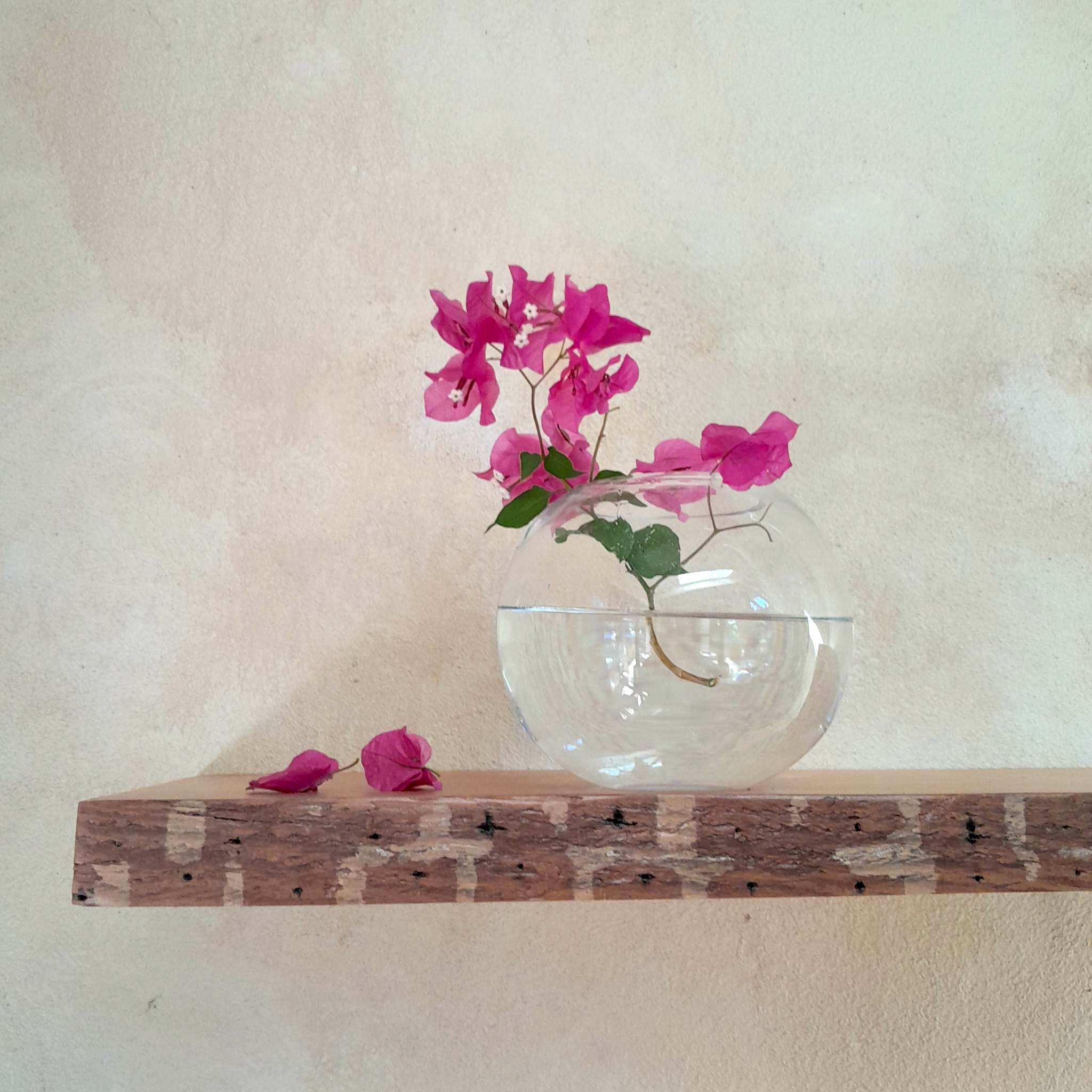 SOLD OUT Reclaimed Rustic wood shelf Oregon Pine Perth Australia