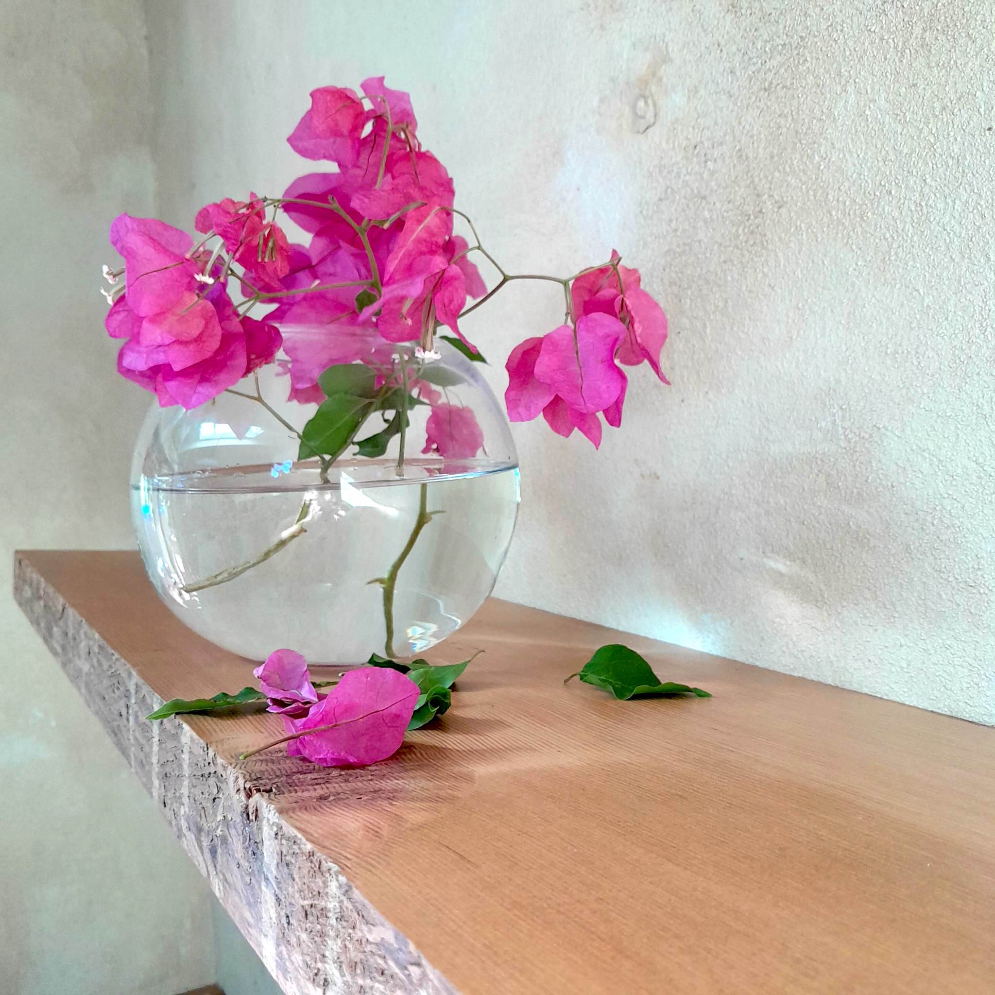 SOLD OUT Reclaimed Rustic wood shelf Oregon Pine Perth Australia
