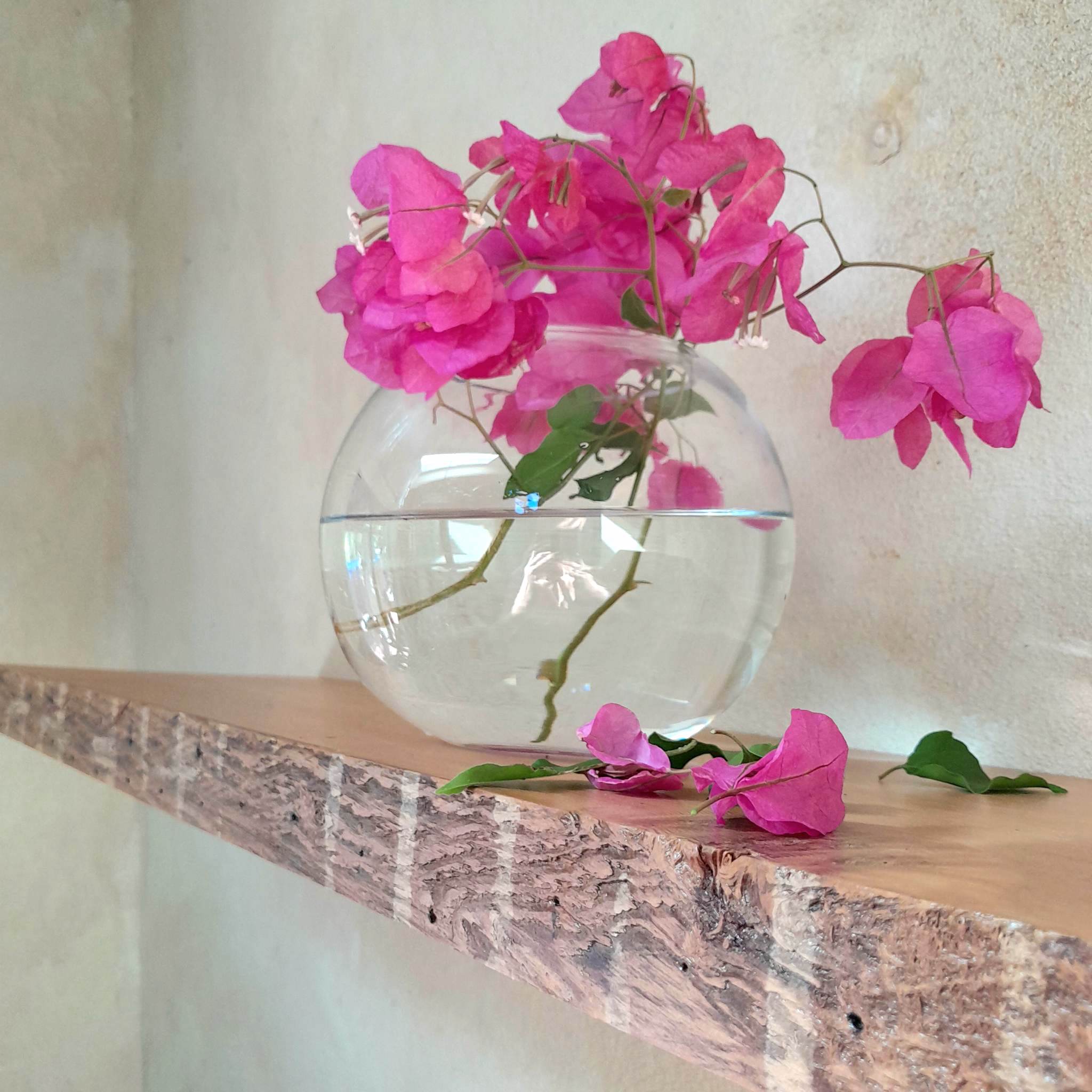 SOLD OUT Reclaimed Rustic wood shelf Oregon Pine Perth Australia