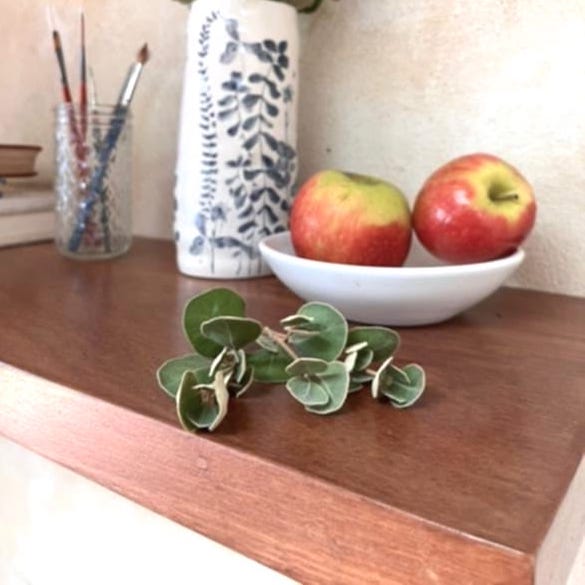 Floating shelf solid wood Jarrah Perth Australia